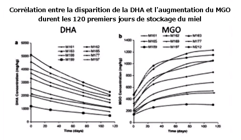 Origine du MGO liée à la transformation du DHA